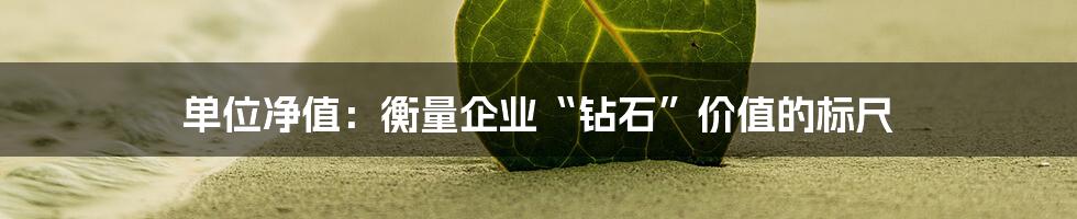 单位净值：衡量企业“钻石”价值的标尺