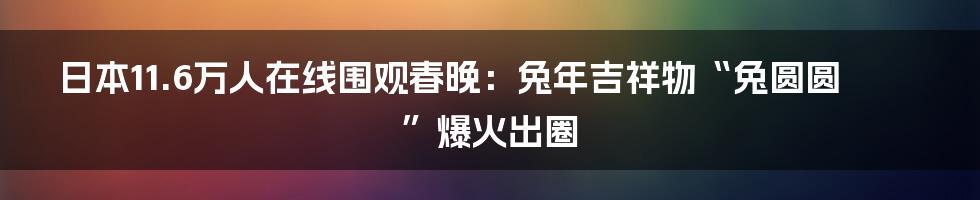 日本11.6万人在线围观春晚：兔年吉祥物“兔圆圆”爆火出圈