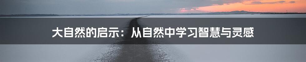 大自然的启示：从自然中学习智慧与灵感