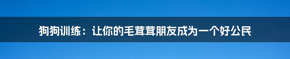 狗狗训练：让你的毛茸茸朋友成为一个好公民