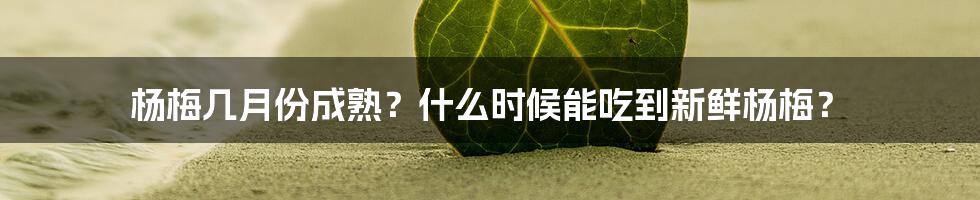 杨梅几月份成熟？什么时候能吃到新鲜杨梅？