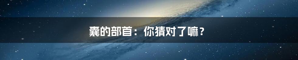 囊的部首：你猜对了嘛？