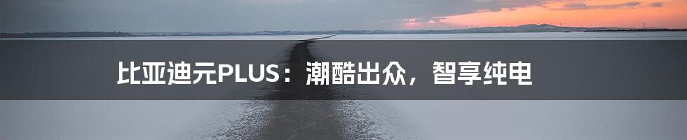 比亚迪元PLUS：潮酷出众，智享纯电