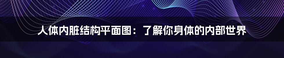 人体内脏结构平面图：了解你身体的内部世界