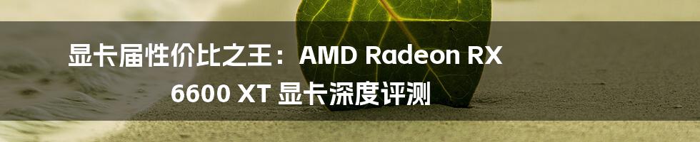 显卡届性价比之王：AMD Radeon RX 6600 XT 显卡深度评测