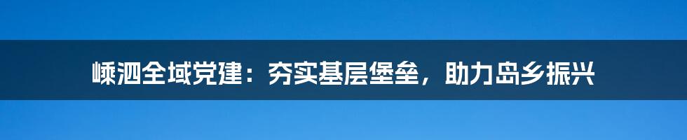 嵊泗全域党建：夯实基层堡垒，助力岛乡振兴