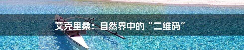 艾克里桑：自然界中的“二维码”