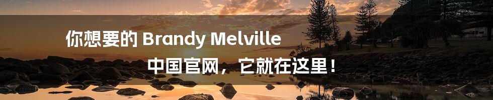 你想要的 Brandy Melville 中国官网，它就在这里！