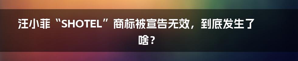 汪小菲“SHOTEL”商标被宣告无效，到底发生了啥？