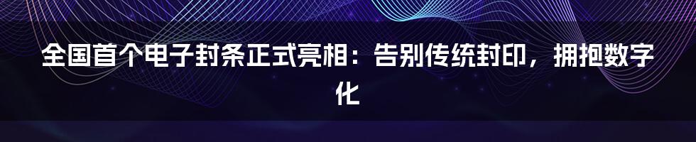 全国首个电子封条正式亮相：告别传统封印，拥抱数字化