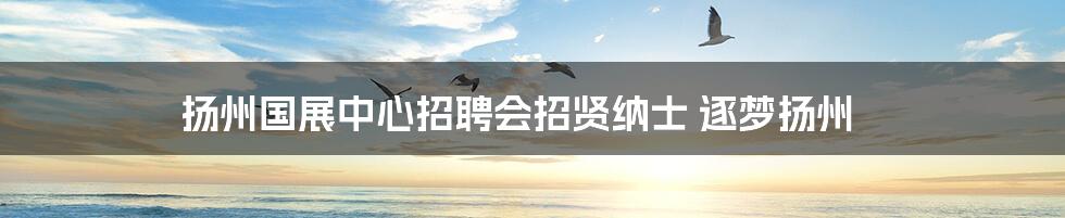 扬州国展中心招聘会招贤纳士 逐梦扬州