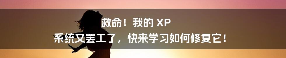 救命！我的 XP 系统又罢工了，快来学习如何修复它！