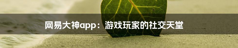 网易大神app：游戏玩家的社交天堂