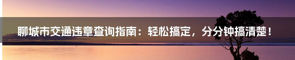 聊城市交通违章查询指南：轻松搞定，分分钟搞清楚！