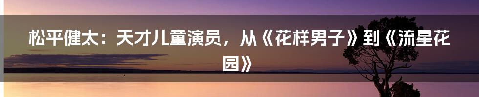 松平健太：天才儿童演员，从《花样男子》到《流星花园》