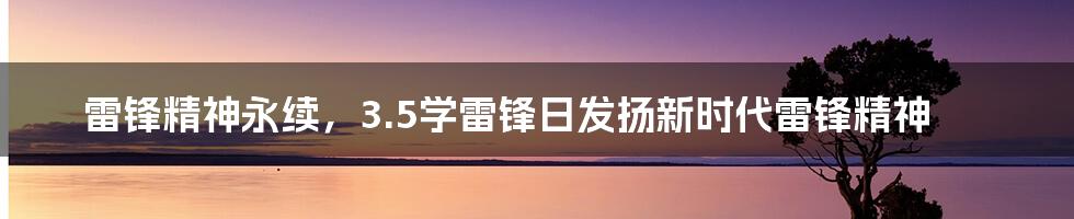 雷锋精神永续，3.5学雷锋日发扬新时代雷锋精神