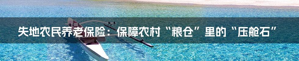 失地农民养老保险：保障农村“粮仓”里的“压舱石”