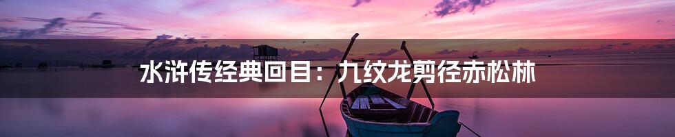 水浒传经典回目：九纹龙剪径赤松林