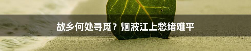 故乡何处寻觅？烟波江上愁绪难平