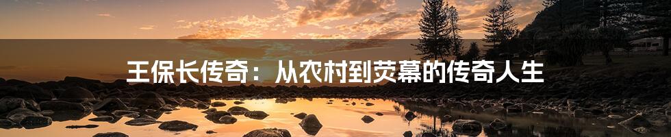 王保长传奇：从农村到荧幕的传奇人生