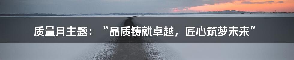 质量月主题：“品质铸就卓越，匠心筑梦未来”