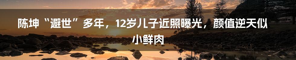 陈坤“避世”多年，12岁儿子近照曝光，颜值逆天似小鲜肉