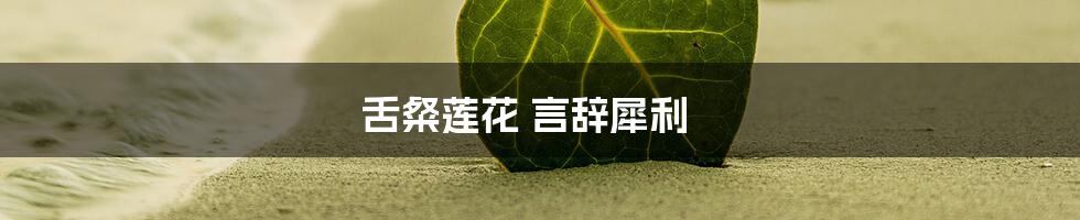 舌粲莲花 言辞犀利