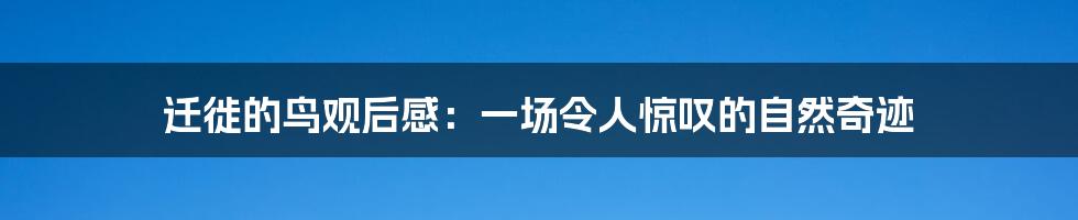 迁徙的鸟观后感：一场令人惊叹的自然奇迹