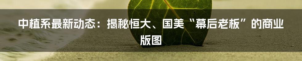 中植系最新动态：揭秘恒大、国美“幕后老板”的商业版图