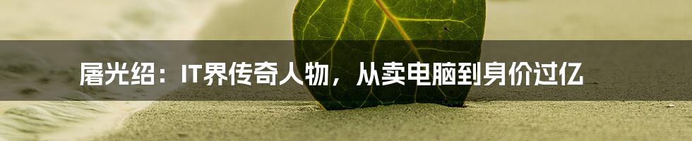 屠光绍：IT界传奇人物，从卖电脑到身价过亿