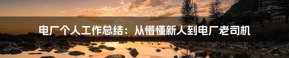 电厂个人工作总结：从懵懂新人到电厂老司机