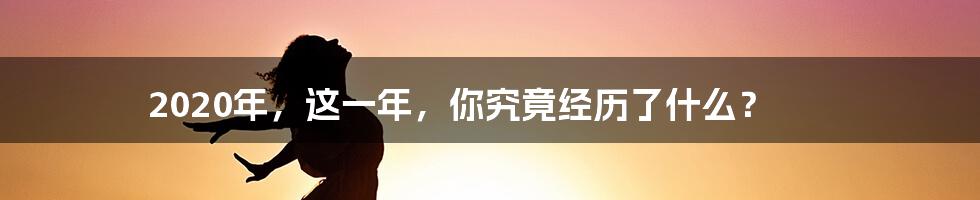 2020年，这一年，你究竟经历了什么？