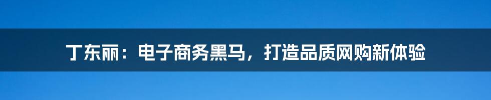 丁东丽：电子商务黑马，打造品质网购新体验