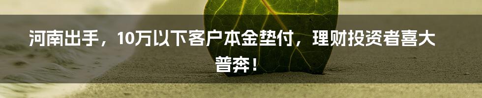 河南出手，10万以下客户本金垫付，理财投资者喜大普奔！