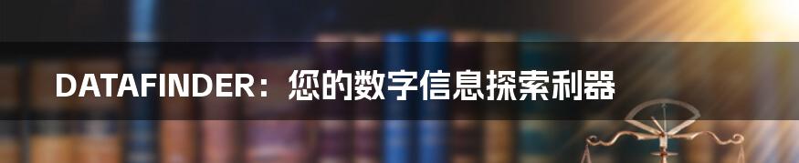 DATAFINDER：您的数字信息探索利器