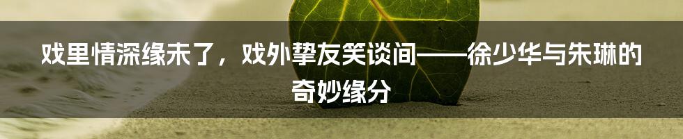 戏里情深缘未了，戏外挚友笑谈间——徐少华与朱琳的奇妙缘分