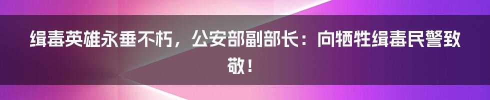 缉毒英雄永垂不朽，公安部副部长：向牺牲缉毒民警致敬！