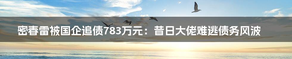 密春雷被国企追债783万元：昔日大佬难逃债务风波