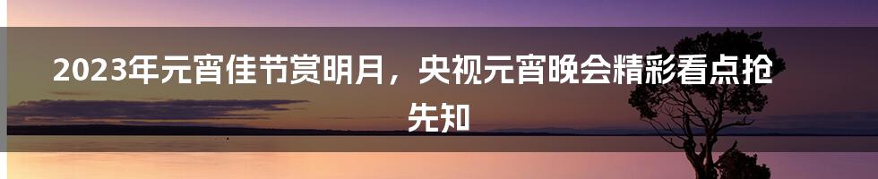 2023年元宵佳节赏明月，央视元宵晚会精彩看点抢先知