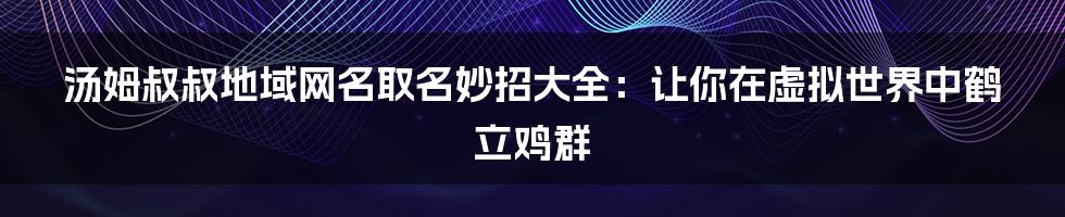 汤姆叔叔地域网名取名妙招大全：让你在虚拟世界中鹤立鸡群