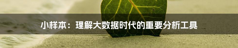 小样本：理解大数据时代的重要分析工具