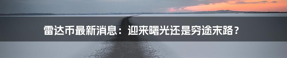 雷达币最新消息：迎来曙光还是穷途末路？