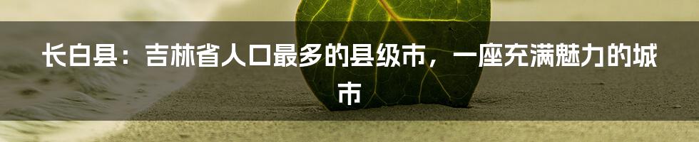 长白县：吉林省人口最多的县级市，一座充满魅力的城市