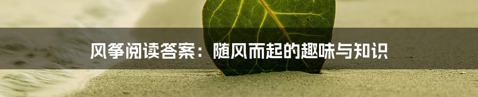 风筝阅读答案：随风而起的趣味与知识