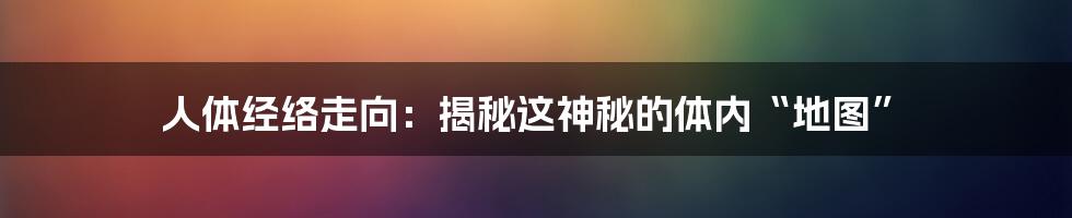 人体经络走向：揭秘这神秘的体内“地图”