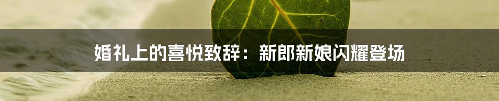 婚礼上的喜悦致辞：新郎新娘闪耀登场