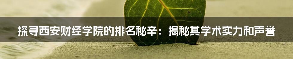 探寻西安财经学院的排名秘辛：揭秘其学术实力和声誉