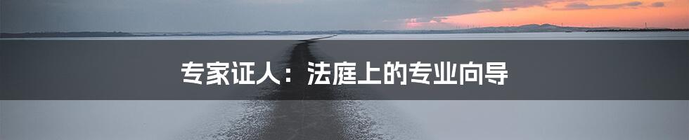 专家证人：法庭上的专业向导