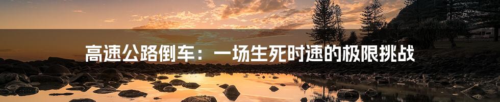 高速公路倒车：一场生死时速的极限挑战