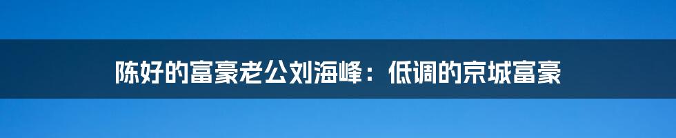 陈好的富豪老公刘海峰：低调的京城富豪